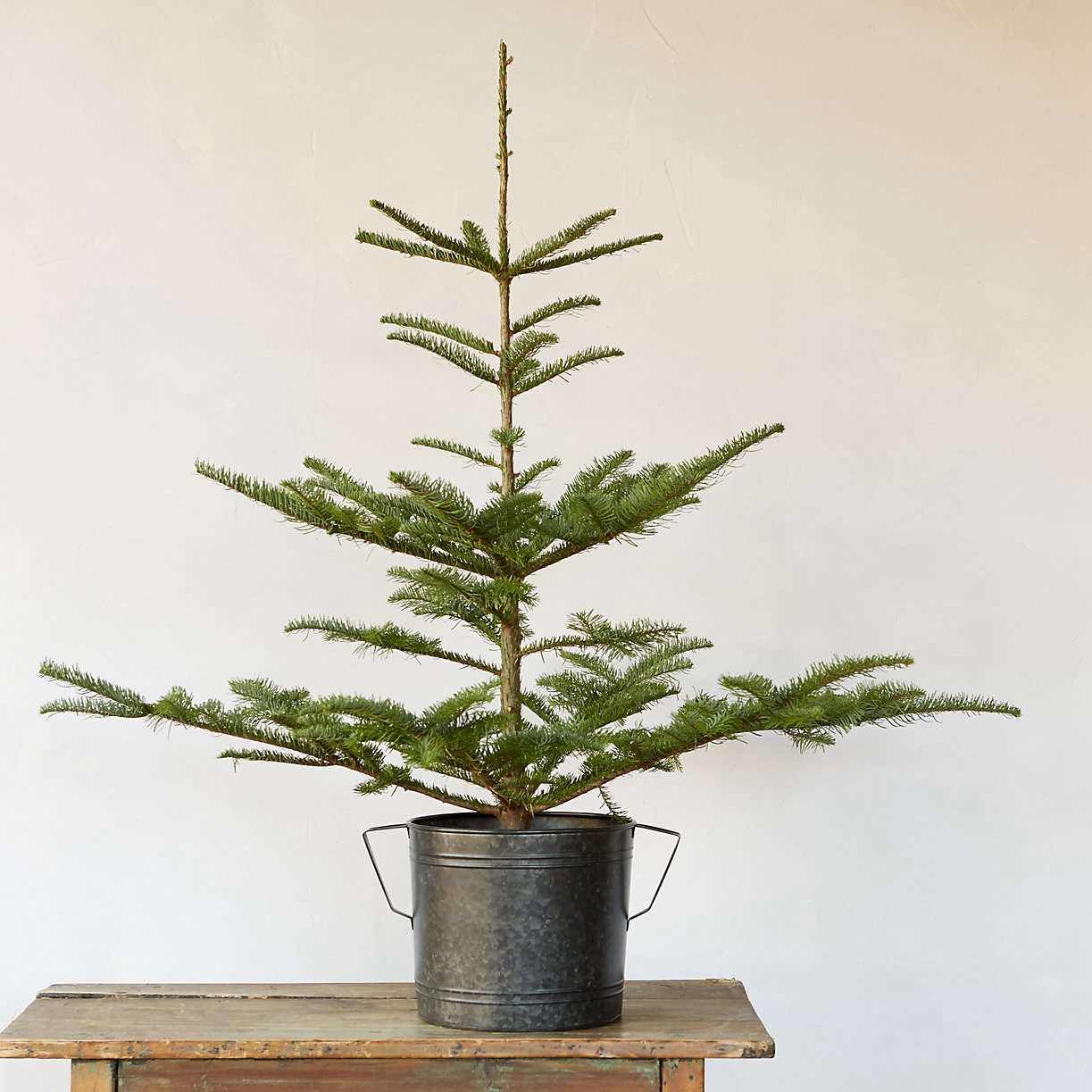 10 Easy Pieces Tabletop Christmas Trees The Organized Home