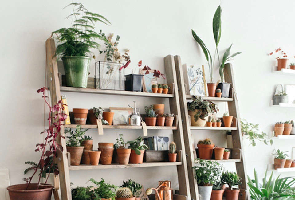 Object of Desire Wooden Ladder Bookshelf for Plants The Organized Home