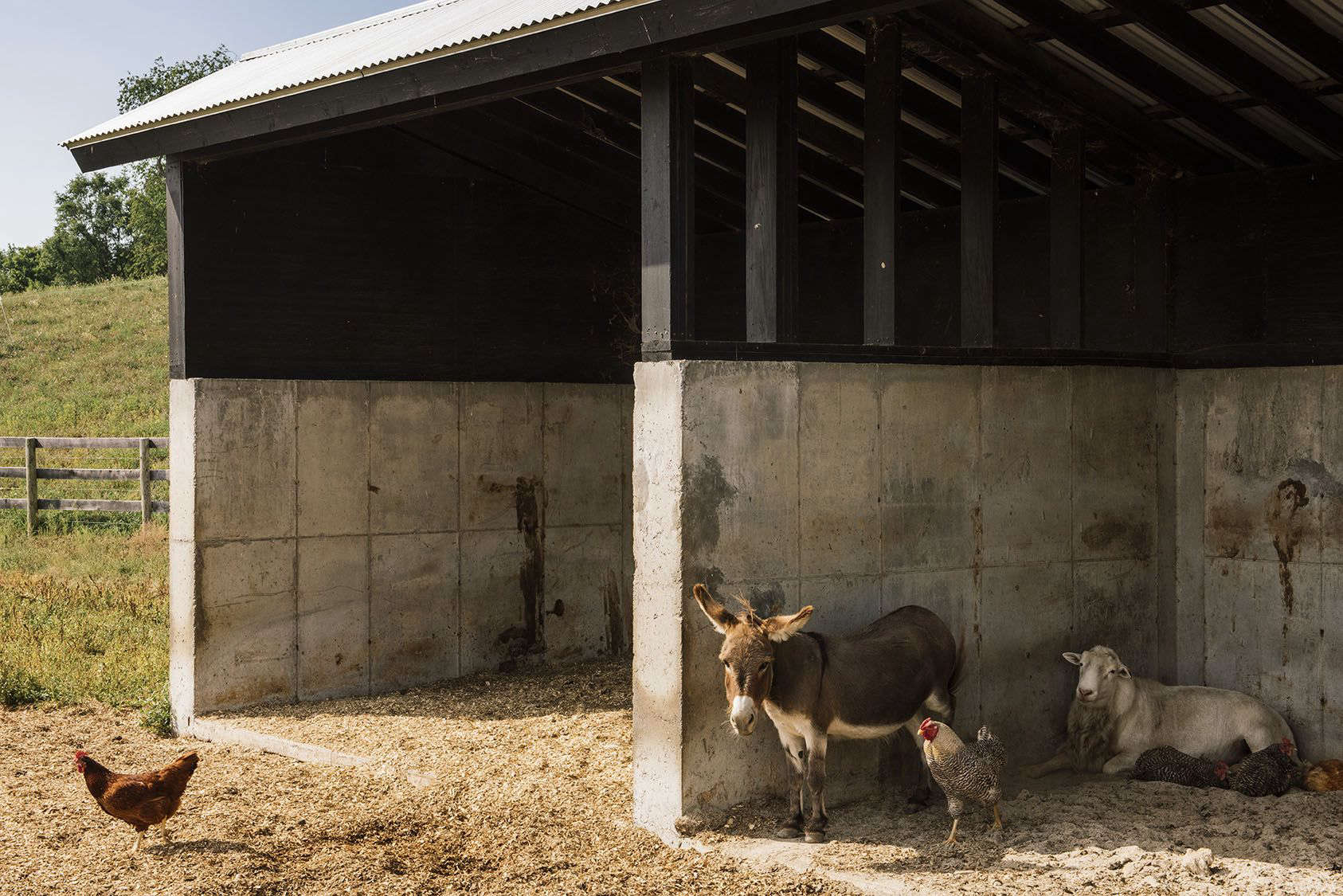 sky high farm: artist dan colen's painterly landscape in